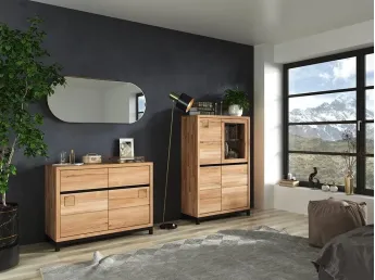 Купити Вітальню Франкфурт I бук за ціною від виробника в Україні